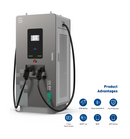 Beny 2 Guns DC EV Charging Station
