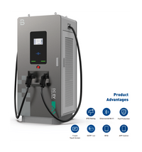 Beny 2 Guns DC EV Charging Station